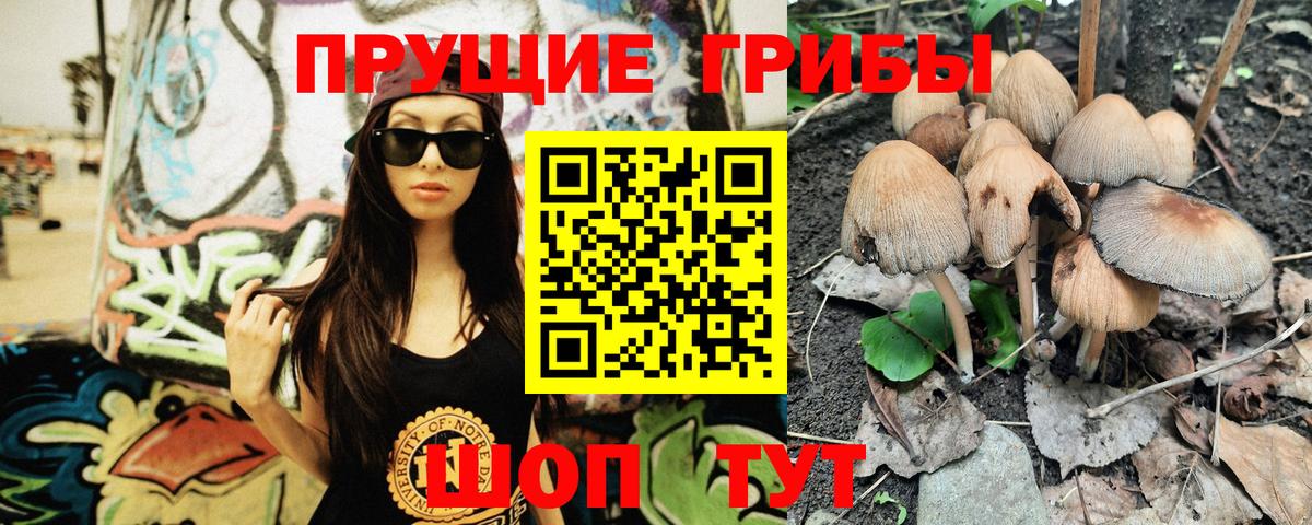 Камень-на-Оби  Псилоцибиновые грибы MAGIC MUSHROOMS  Вход с VPN 