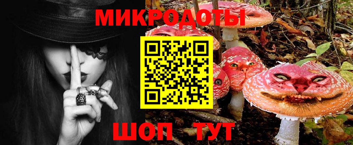 Галлюциногенные грибы Psilocybine cubensis Камень-на-Оби